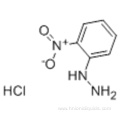 2-Nitrophenylhydrazine hydrochloride CAS 6293-87-4